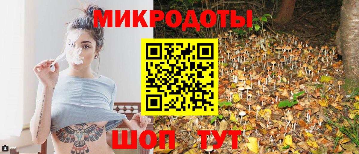 Псилоцибиновые грибы Cubensis  Вход с VPN  Мурино 