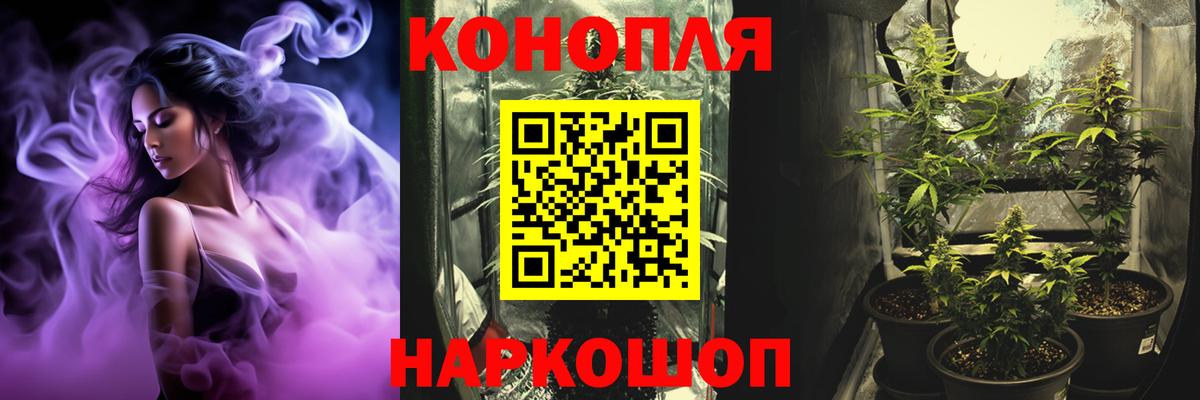 Мурино  Каннабис OG Kush  Конопля SATIVA & INDICA  Конопля Ganja  Вход с VPN  Бошки Шишки ГИДРОПОН 